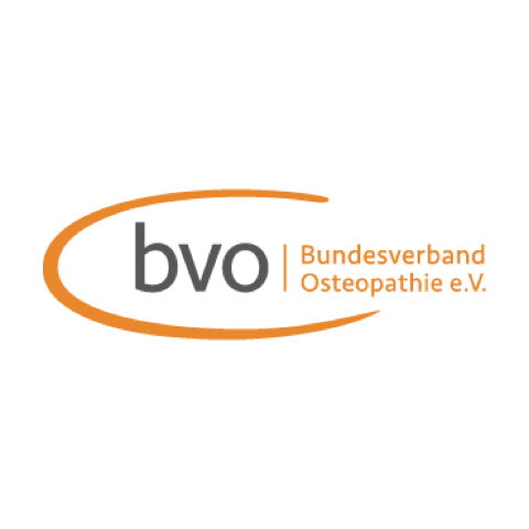 Logo BVO