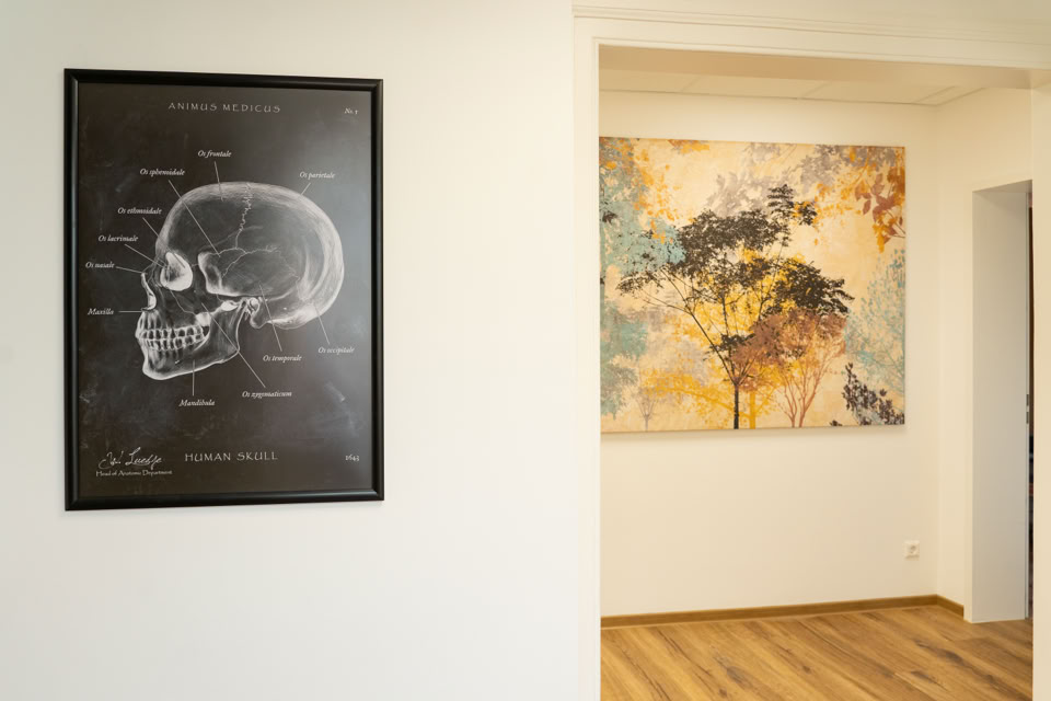 Praxis Anatomiebild